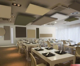 Barrisol  Acoustics Acoustic indoor PVC stretch ceiling
